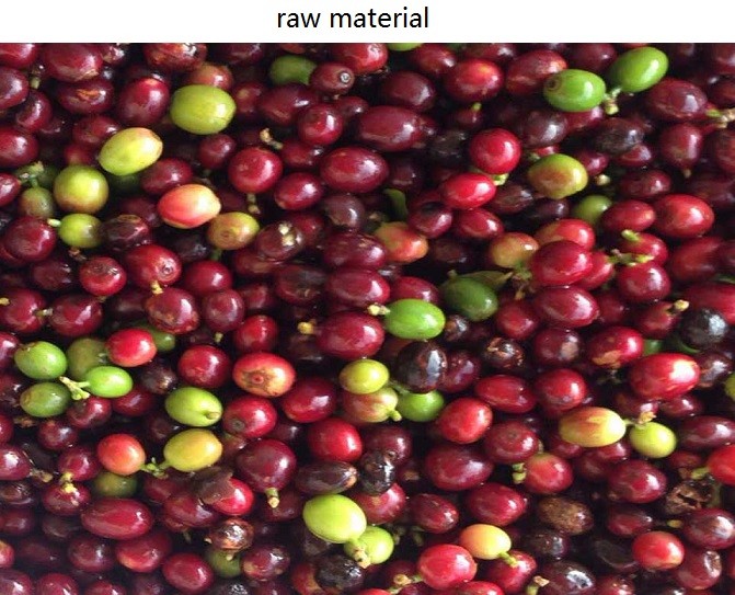 3.0Kw Coffee Color Sorter Machine