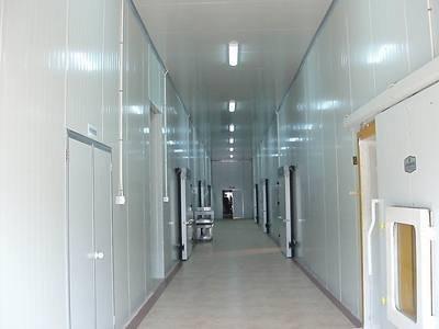 Medical Cold Storage Panel Food Slaughtering Cold Chain Special Board Purificati