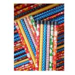Solid Eucalyptus Varnished 250g 1100mm Wooden Mop Handles