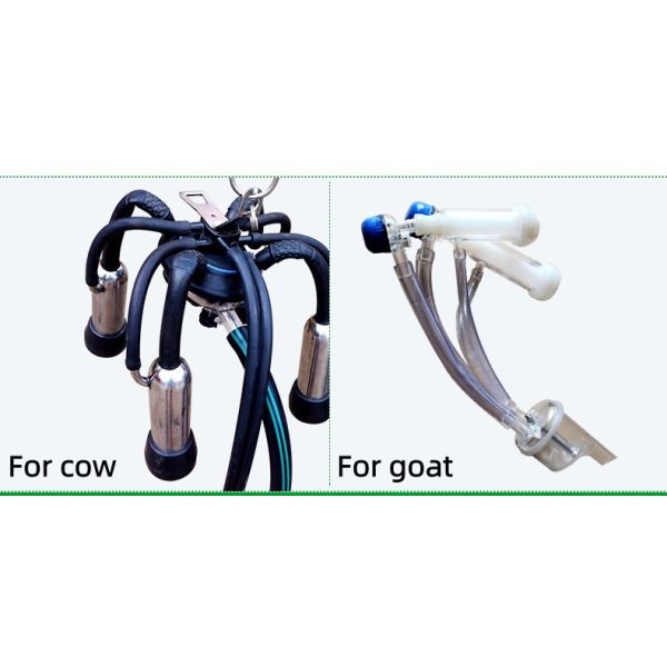 Piston Milking Machine-Double Bucket