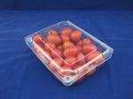 Eco Friendly Disposable Clear Plastic Blister Plastic Packaging Boxes 500g
