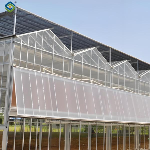 Smart Multi Span Venlo Glass Greenhouse Solar Photovoltaic Greenhouses Fruit