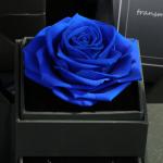 Amazon Hot Selling Real Preserved Roses Jewelry Gift Boxes eternal rose jewel