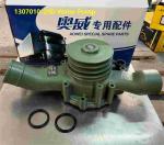 1307010-29D Water Pump FAW Truck Parts 19.2KG Weight