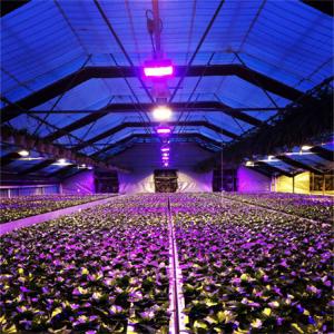 Wholesale Light Deprivation Automatic Blackout Greenhouse Height 2.8-5m from china suppliers