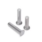 Professional Customized Semi-Tubular Rivets in 304 Stainless Steel Flat Round