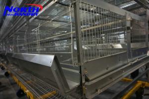 Wholesale Kenya and Nigeria hot sale high quality poultry chicken cage / battery cage from china suppliers