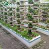 Buy cheap PO Film Protected Indoor Hydroponic Growing Systems for Greenhouse from wholesalers