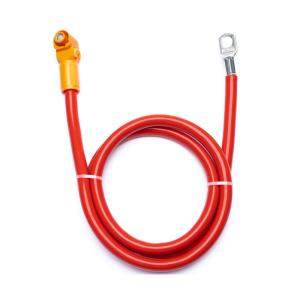 Wholesale Type 2 to Type 2 250V/480V 16A/32A Electric Vehicles Charging Cable Assembly Product from china suppliers