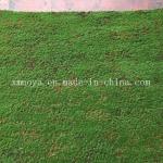 Plastic Green Carpet Moss for Eco-Friendly Wall Decoration Lifespan Within 5-10