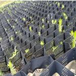 Plastic Stabilized Gravel Paving 75mm/100mm/150mm Plastic HDPE Geocell