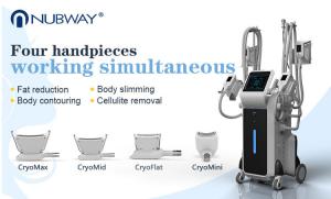Wholesale 4 handles Cryo Therapy Cool Sculpture Zeltiq cryolipolysis machine 2018 from china suppliers