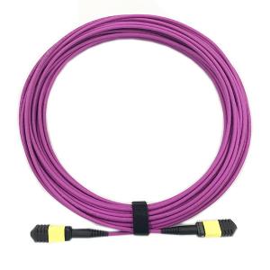 Wholesale 12 Core OM4 Lszh Patch Cable , SENKO Female Mpo Patch Cord Purple Color from china suppliers