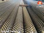 Stainless Steel Seamless Pipe ASTM A312 TP317L with 11Cr Studded Tube , Fired