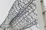Galvanized Blade Wire Razor Barbed Wire Mesh Hardware Supplies