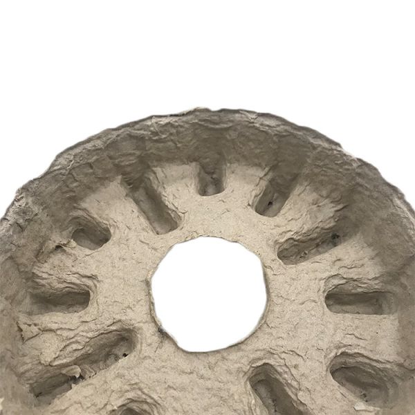 Eco Friendly Molded Pulp Paper Tray With Insert Boxes Compartment