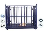2M Livestock Weighing Scales , 2000Kg Cow Weight Machine