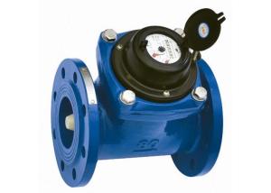 Wholesale DN100 PN16 Flange Port Woltman Water Meter Ductile Iron Housing With Positive Displacement from china suppliers