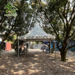 Stainless Pagoda Party Wedding Event Tent 20 X20ft Water Resistant