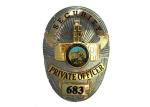3D Metal Die Stamping Police Badge, Brooch Souvenir Badges with TwoTones Plating