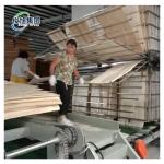 Customizable Wood Veneer Dryer 20-50 Cubic Meters
