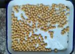 Salty Flavor Canned Garbanzo Beans With No Impurity