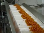 OEM Length 6m PP PVC PU Belt Conveyor