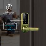 Electronic Card Password WiFi Keyless Digital Smart Fingerprint Deadbolt Door