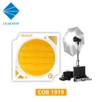 1919 Dual Color COB LED Chip 18W 18W/25W 25W VF 36-38V for Adjustable Photograph