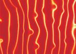 4-12MM Printed Laminated Glass Backsplash 300X300MM