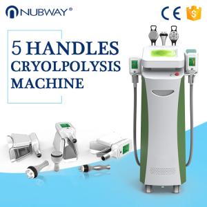 Wholesale Newly-launched!!! The most featured Cryolipolysis Slimming Product Green Vertical from china suppliers