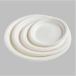 Environmental Friendly Degradable Disposables Dinnerware Tableware Compostable