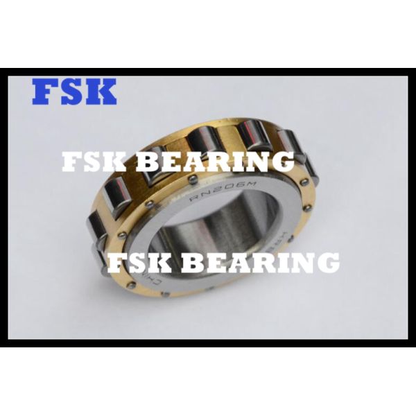 No Outer Ring RN206M Eccentric Cylindrical Bearings Catalog for Reducer Brass Cage