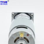 Reversible 5 Rpm 120 Rpm Micro 775 Dc Motor Torque 42mm 12V 24V