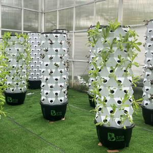 Wholesale Automatic Tower Hydroponic System For Space Saving Plant Cultivation from china suppliers