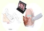 AV / USB Connected Full HD Vagina Colposcope Digital Camera With AAA Battery