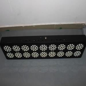 Wholesale Cidly A18 Led organic gardening 650W hydroponic lighting from china suppliers
