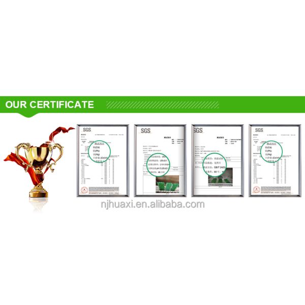 Pet Artificial Turf Grass Padel Court Artificial Grass For Pet Behaviour Training