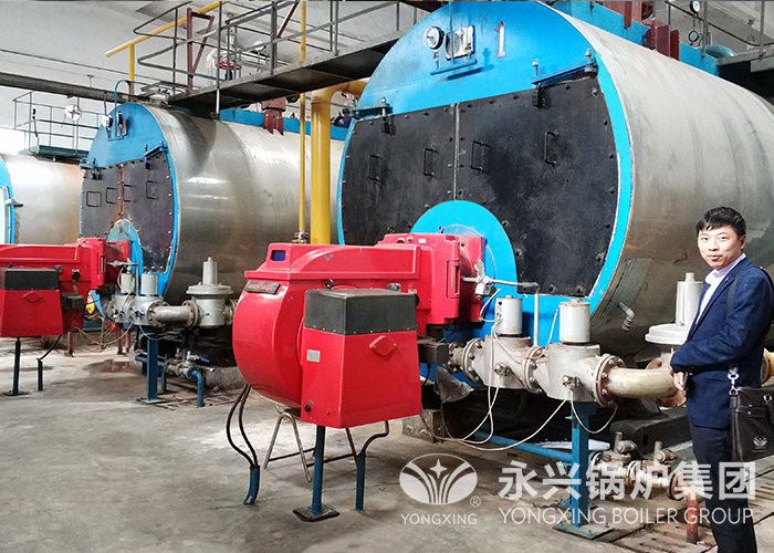 Horizontal Natural Gas Fired Steam Boiler 1-20 Ton Per Hour For Laundry Room
