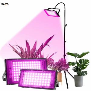 Wholesale Seed Starting 50W Full Spectrum Plant Lamp with Stand LED Standing Floor Grow Light from china suppliers