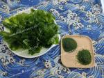 Umami Aonori Seaweed Sprinkles for Japanese Cuisine Rice Potato Chips Seasoning