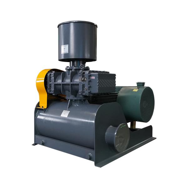 High Performance Roots Vacuum Pumps For Industrial Automation 0.52-183.9m³/min