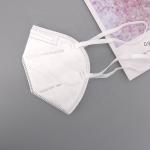 Earloop N95 Face Mask