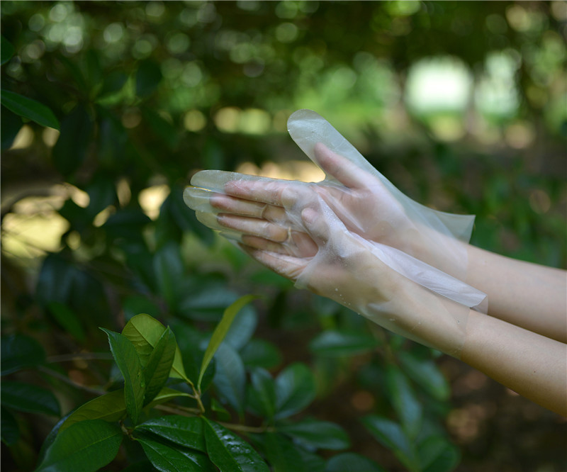 Latex Protein Free TPE Disposable Gloves For Electronic Assembly