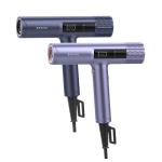 Brushless Motor Professional Hair Dryer with 21 Million Negative Ions