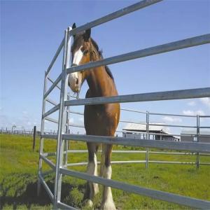 Wholesale Portable Silver 6ft X 10ft Wire Cattle Panels Weather Resistant from china suppliers