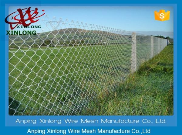 Farm Equipment Galvanized Steel Chain Link Fence 8 Foot Diamond Hole Shape