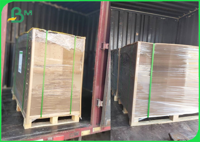 Polypropylene Coated Paper