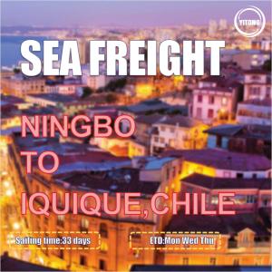 Wholesale Ningbo To Iquique Chile Global Ocean Shipping International Freight Forwarder 30 Days from china suppliers