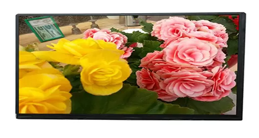 10.1" Transmissive TFT LCD Screen Full Viewing Angle LVDS Interface 40 Pins